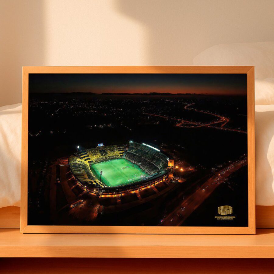 Cuadro de Estadio Campeón del Siglo